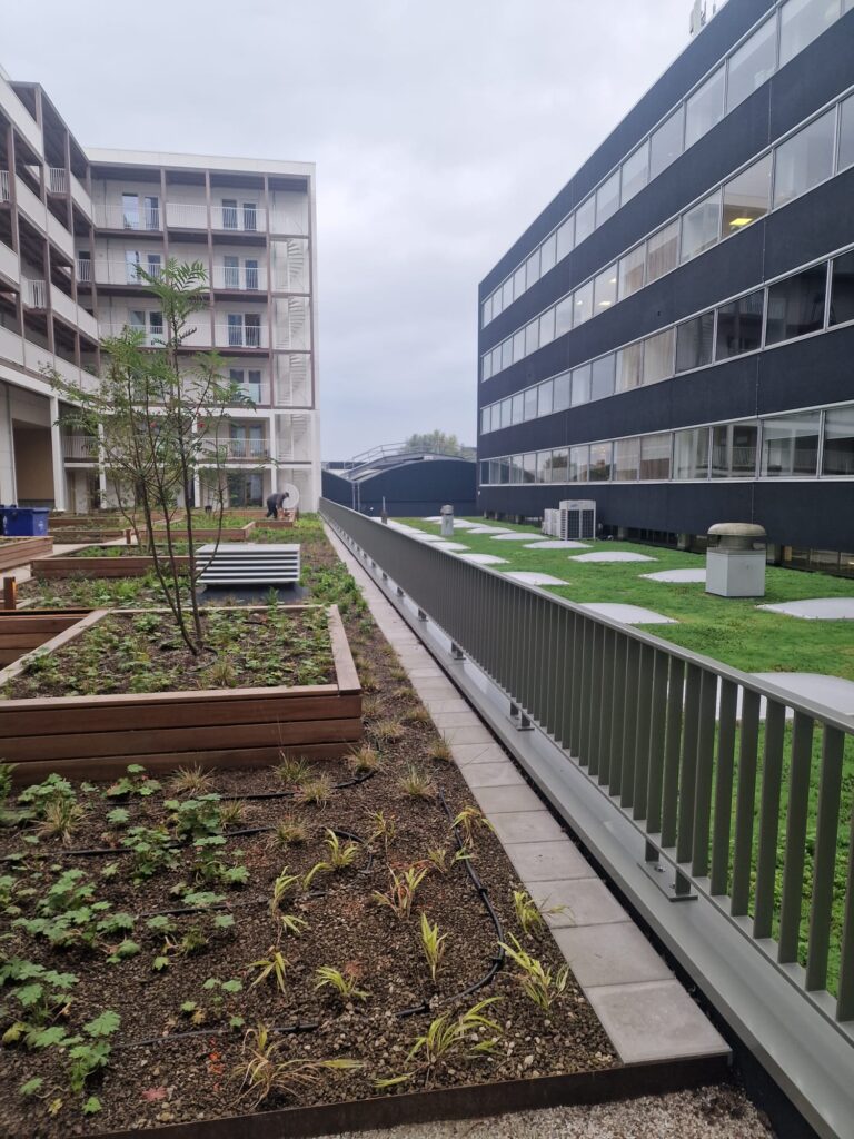 Koffiefabriek